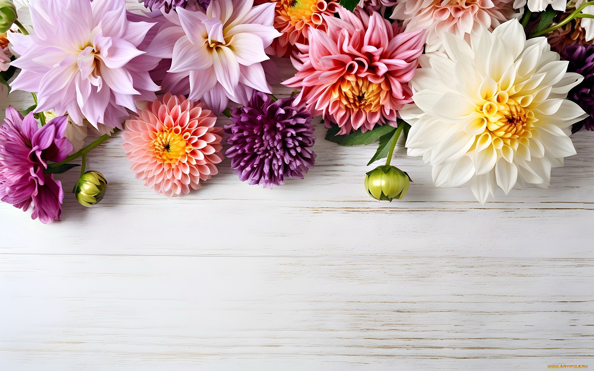 3 ,  , flowers, 